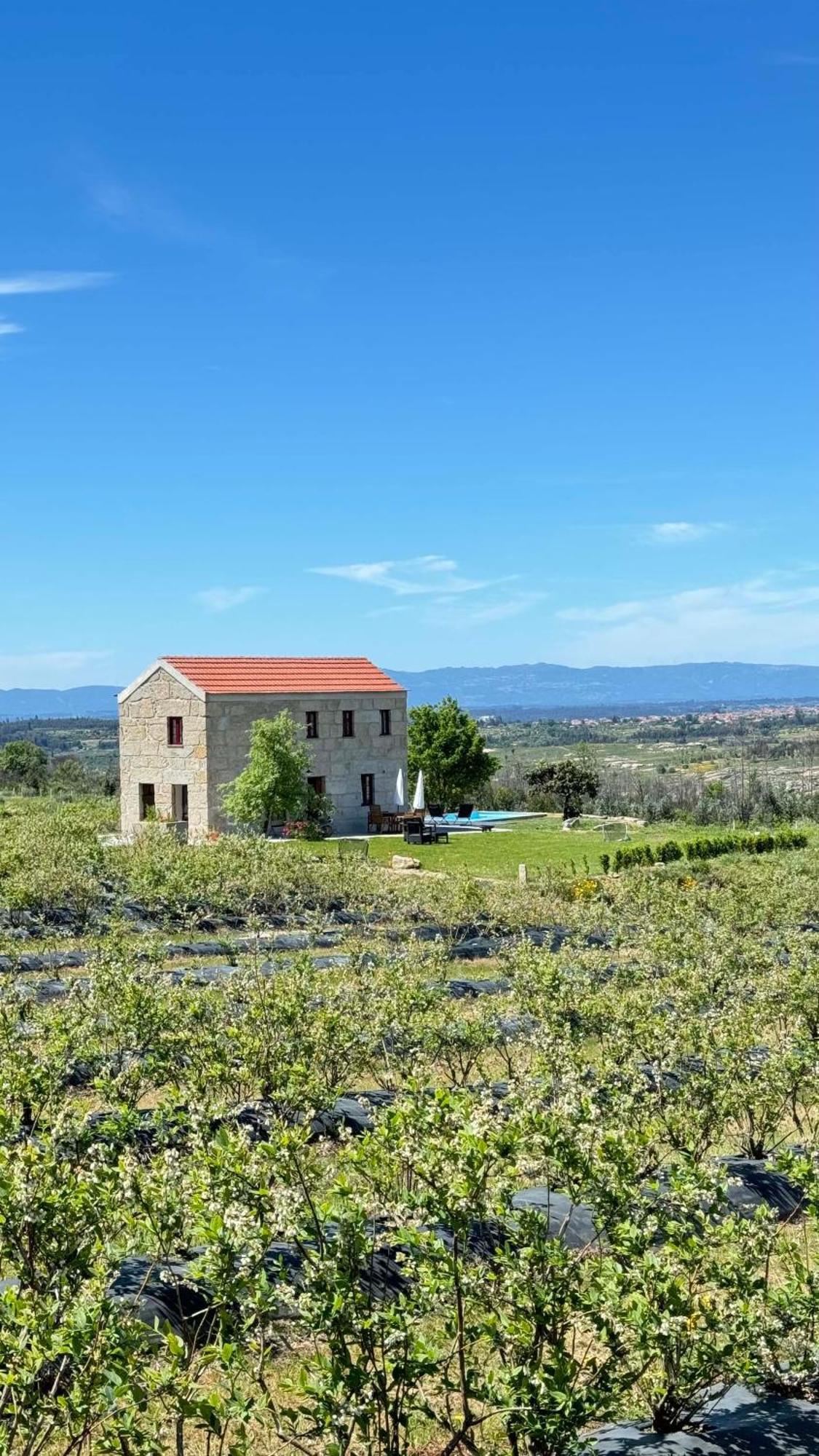 Quinta Da Cumieira Nova Villa Seia Eksteriør billede